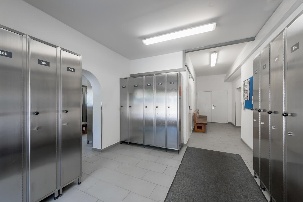 Grauer Baer 4*